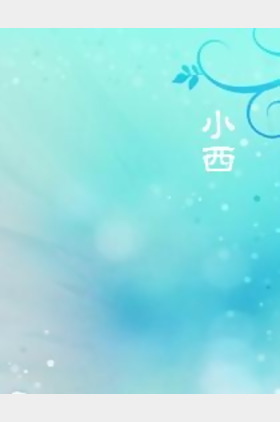 小西个人介绍