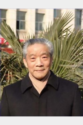 崔灿个人介绍