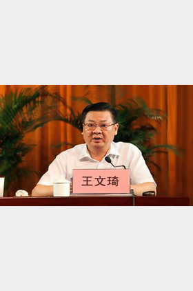 王文琦个人介绍