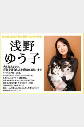 浅野裕子个人介绍