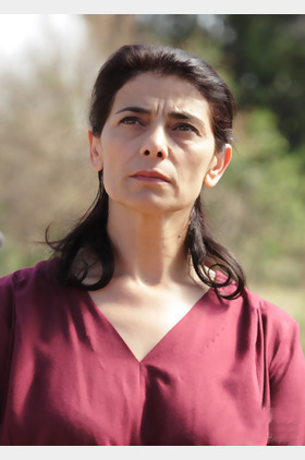 西娅姆·阿巴斯个人介绍