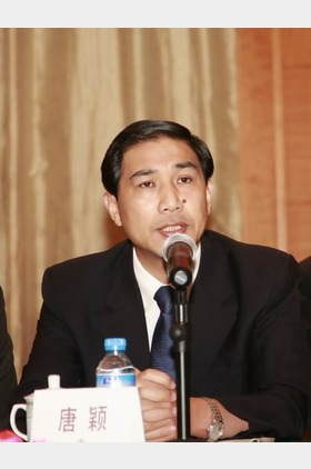 唐颖个人介绍
