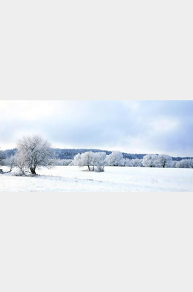 Winter个人介绍