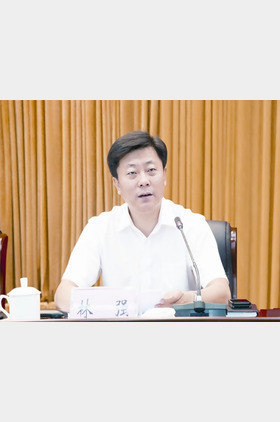 林强个人介绍