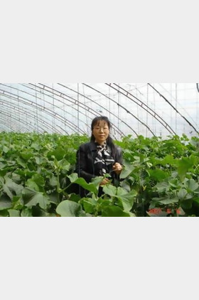 高丽红个人介绍