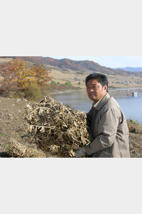 鞠庆洲个人介绍