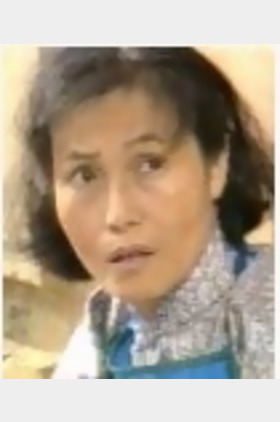 梅兰个人介绍