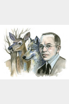 奥尔多·雷Aldo Ray个人介绍