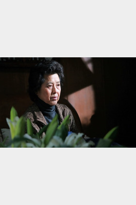 徐蕾个人介绍