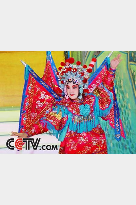 杨亚男个人介绍