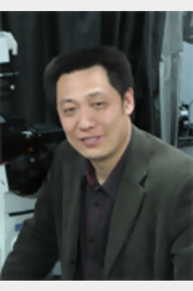 韩东个人介绍