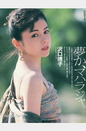 泽口靖子个人介绍