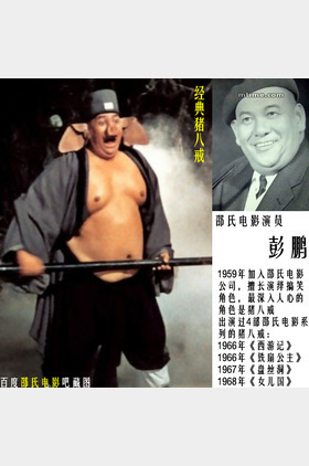 彭鹏个人介绍