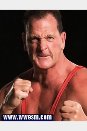 Dave Taylor个人介绍