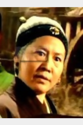 傅碧辉个人介绍