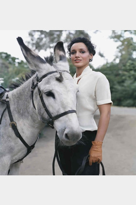 詹妮弗·比尔斯Jennifer Beals个人介绍