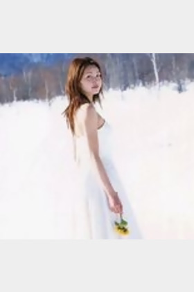 佐藤惠美个人介绍