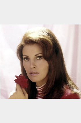 拉蔻儿·薇芝Raquel Welch个人介绍