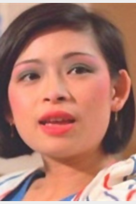 卫嘉文个人介绍