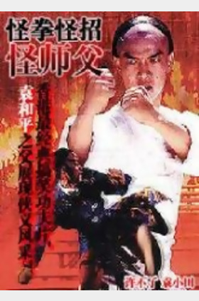 丁华宠个人介绍