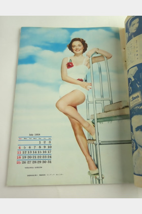 岛崎雪子个人介绍