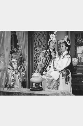 英丽梨个人介绍