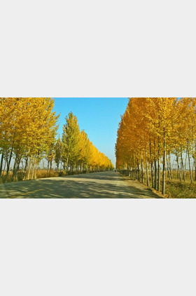 马路个人介绍