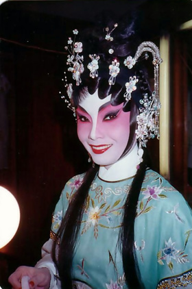 梅雪诗个人介绍