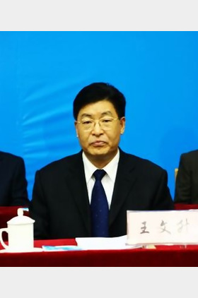 王文升个人介绍
