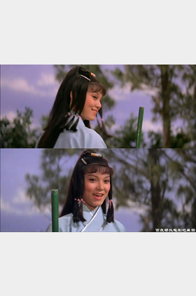 胡茵茵个人介绍