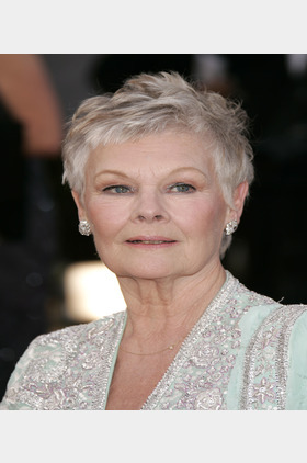 朱迪·丹奇个人介绍