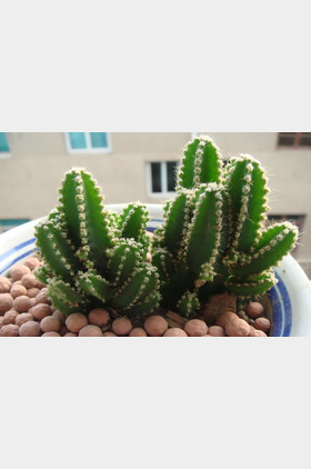 万重山个人介绍