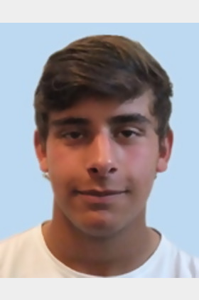 路易斯·费雷拉个人介绍