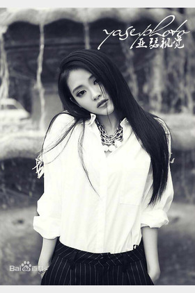 杨了个人介绍