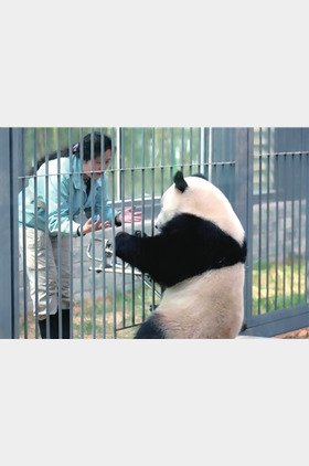 萌萌个人介绍