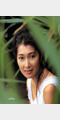 鹤田真由照片